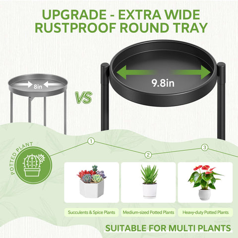 iDavosic.ly 10-inch wide-tray display on a sturdy plant stand with ample pot space