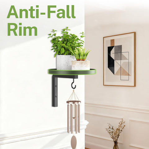 iDavosic.ly black wall-mounted plant hanger adds modern style to any room