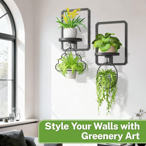 idavosic.ly indoor plant display tray contains soil and water for tidier care
