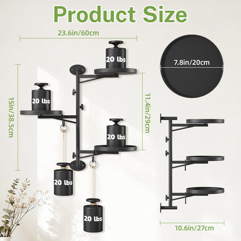 iDavosic.ly solid metal frame provides sturdy plant support indoors or outdoors
