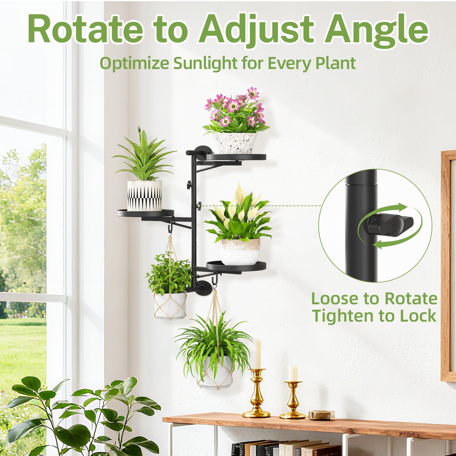 iDavosic.ly wall mount plant holder with two hooks for versatile vertical displays