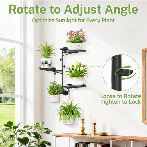 iDavosic.ly wall mount plant holder with two hooks for versatile vertical displays