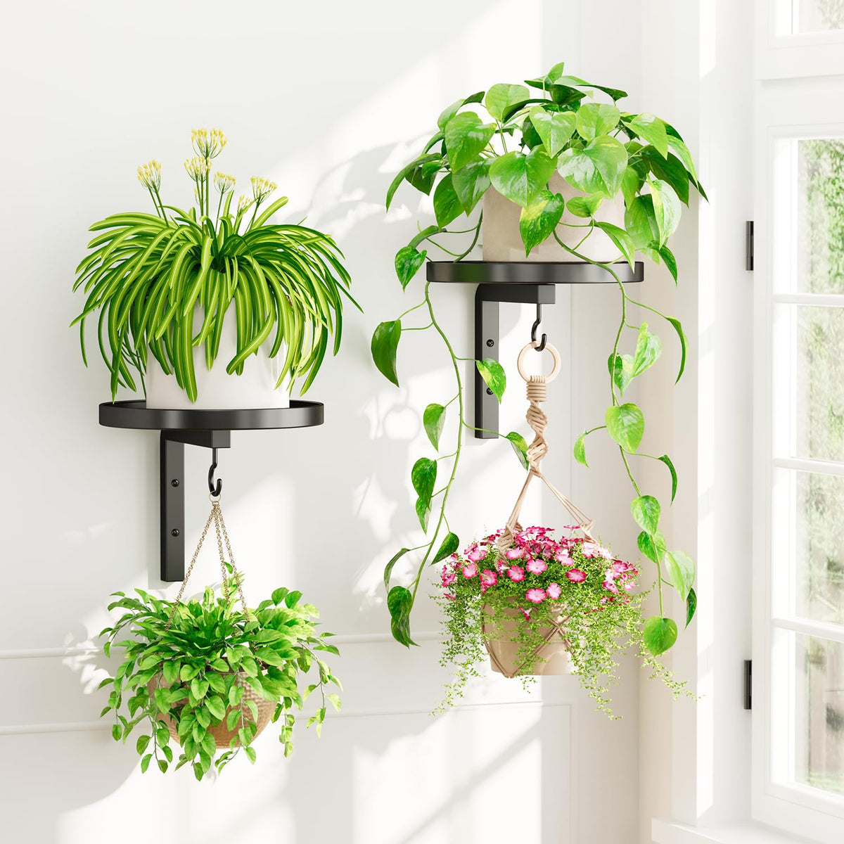 iDavosic.ly wall plant holder set 2 on sturdy wall mount with secure, wobble-free support