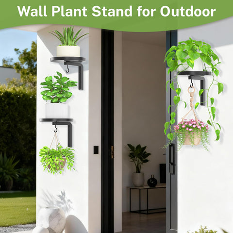 iDavosic.ly black-finish plant hanger adds modern decor to any room.