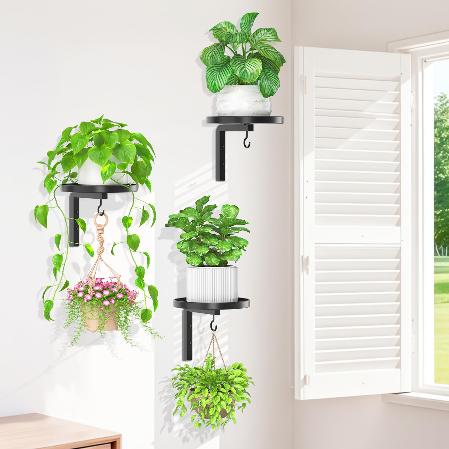 iDavosic.ly wall-mount plant display keeps plants safe from pets.