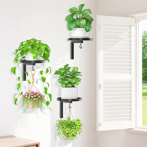 iDavosic.ly wall-mount plant display keeps plants safe from pets.