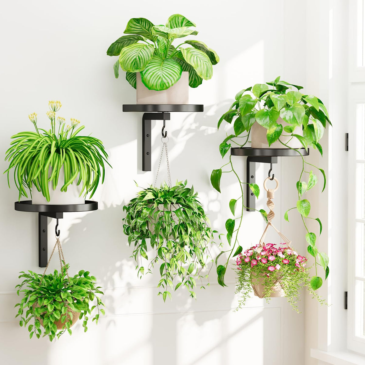 iDavosic.ly wall-mounted plant holder set displays four plants for space-saving greenery.