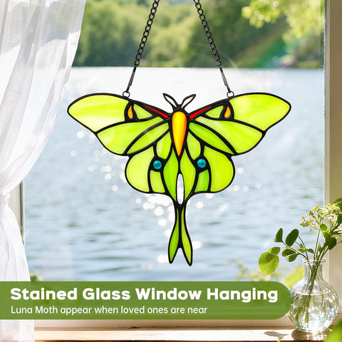 IDEA SHOW Luna Moth gift adds sentiment and timeless beauty.