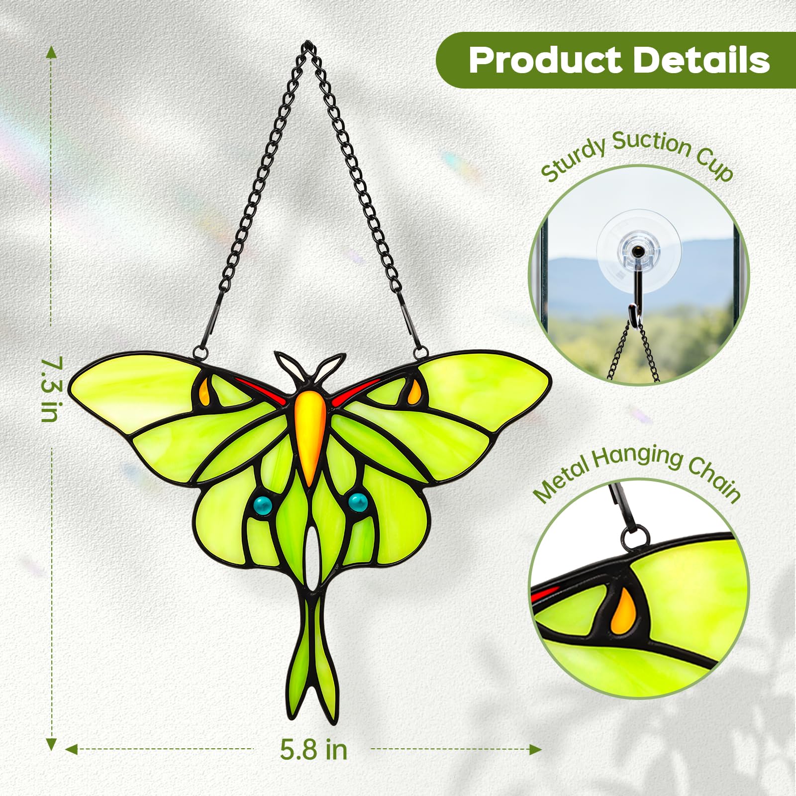 IDEA SHOW Green luna moth window decor catches light for a magical color display.