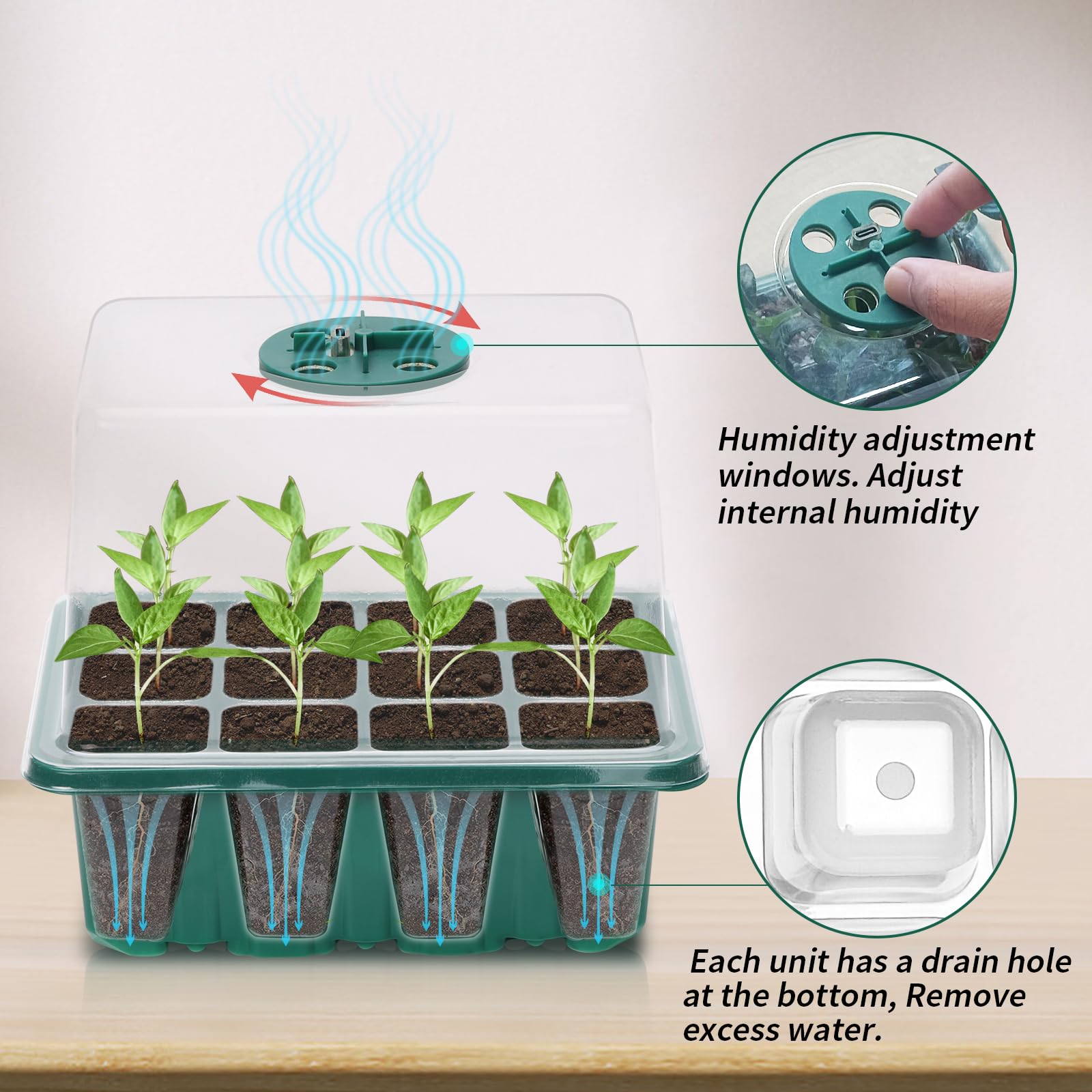 Idealife 12-cell seedling tray organizes seeds for uniform development
