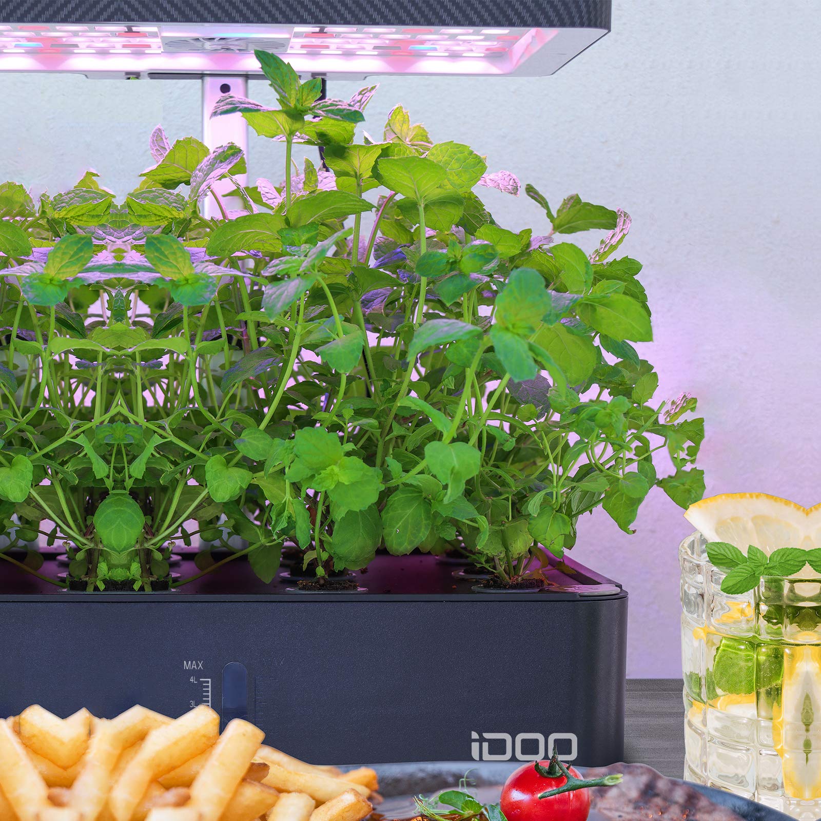 idoo Seed Pods Kit grow baskets offer stable water access for robust seedlings.