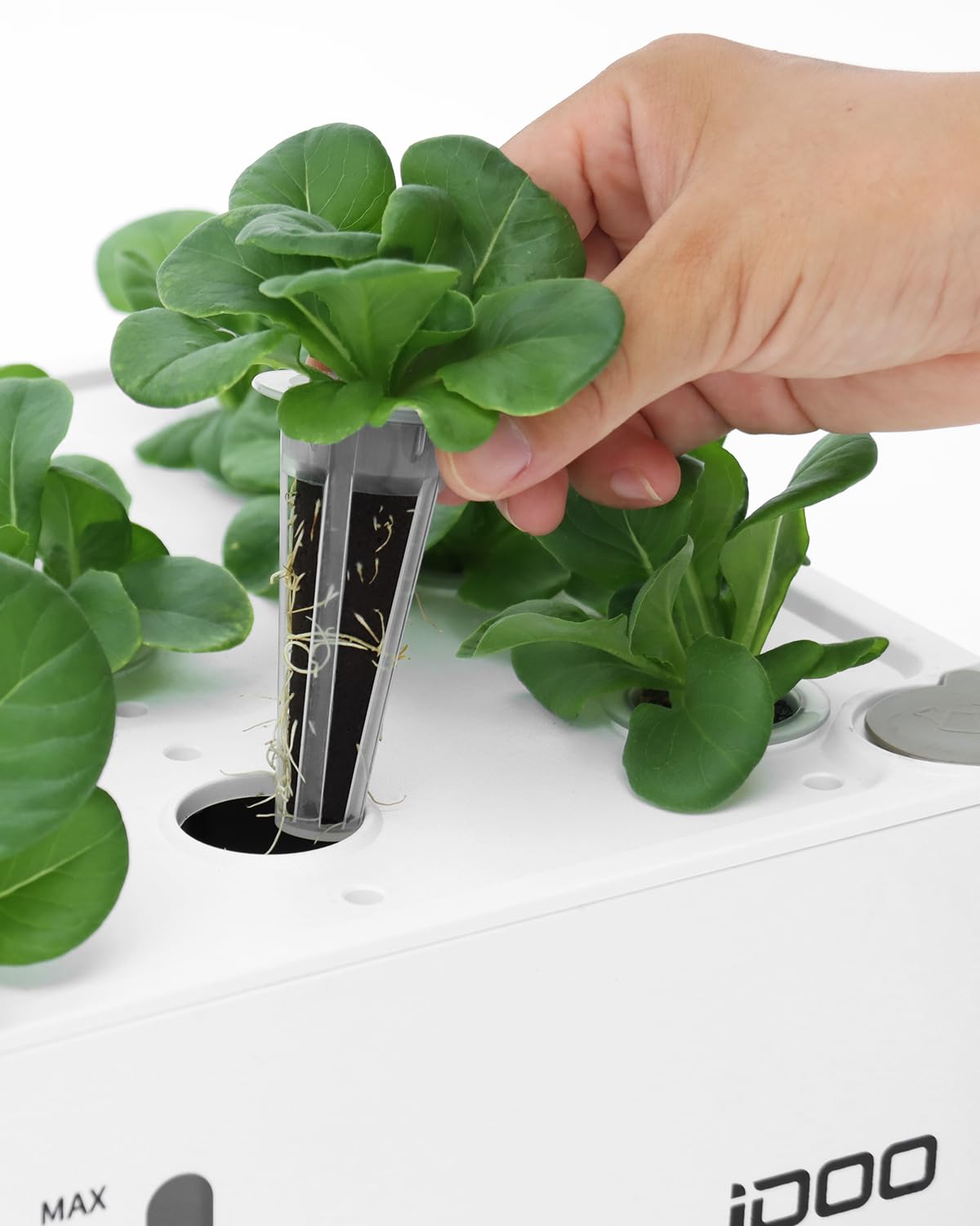 idoo Seed Pods Kit grow domes maintain humidity for steady germination.