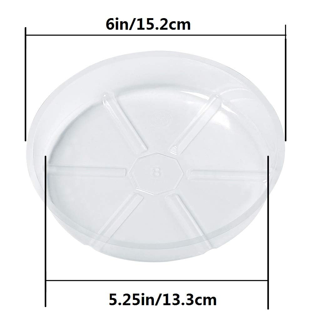 Idyllize 6-inch clear saucer under pots enhances drainage and keeps indoor surfaces clean