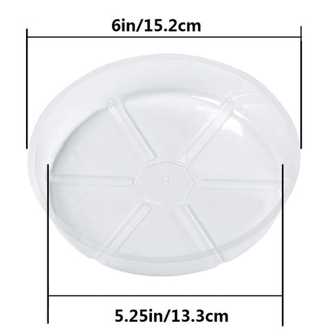 Idyllize 6-inch clear saucer under pots enhances drainage and keeps indoor surfaces clean