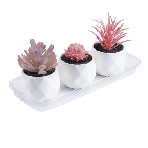 Idyllize clear plastic saucer for window sill displays with tidy organization.
