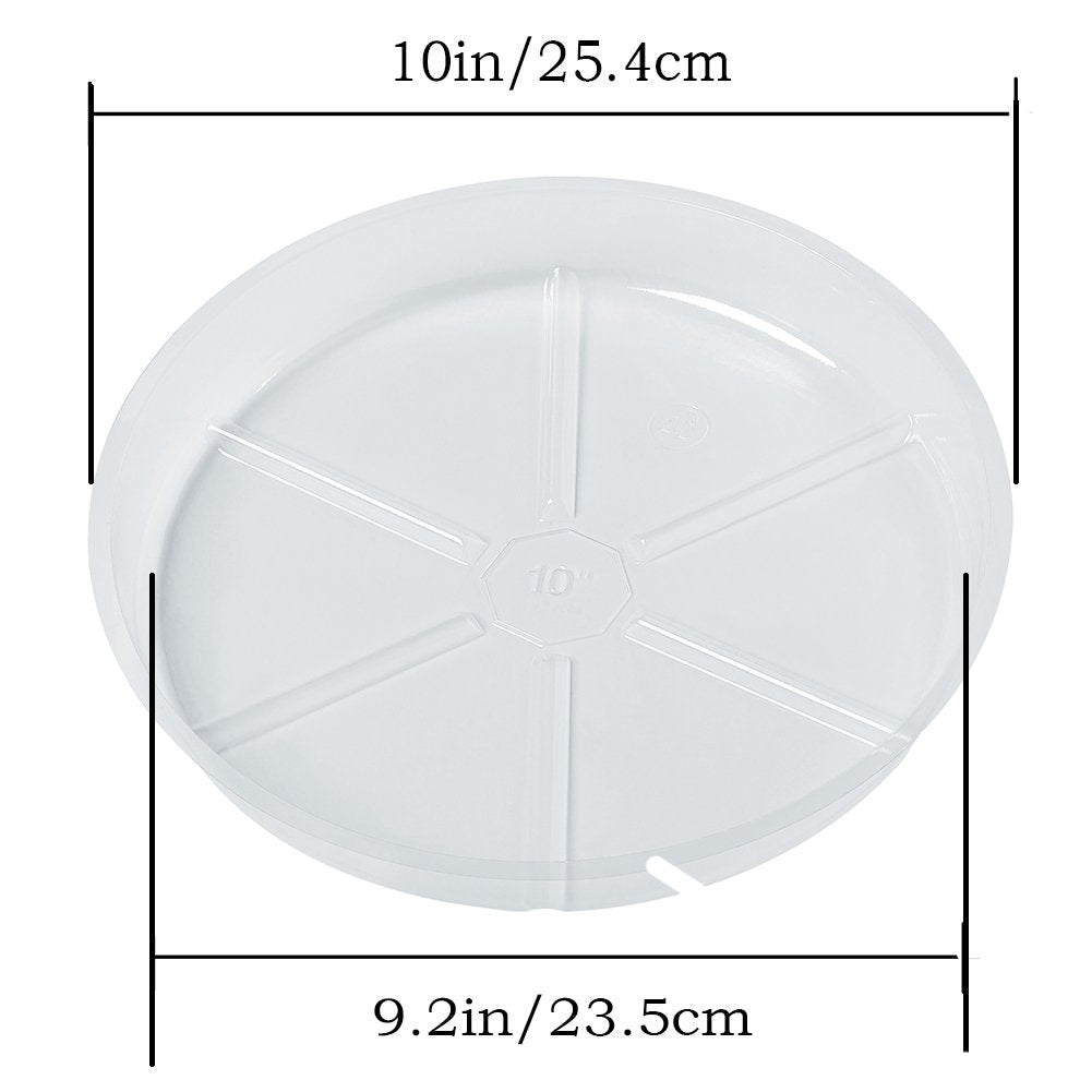 Idyllize saucer with 10-inch outer diameter for decorative plant setups