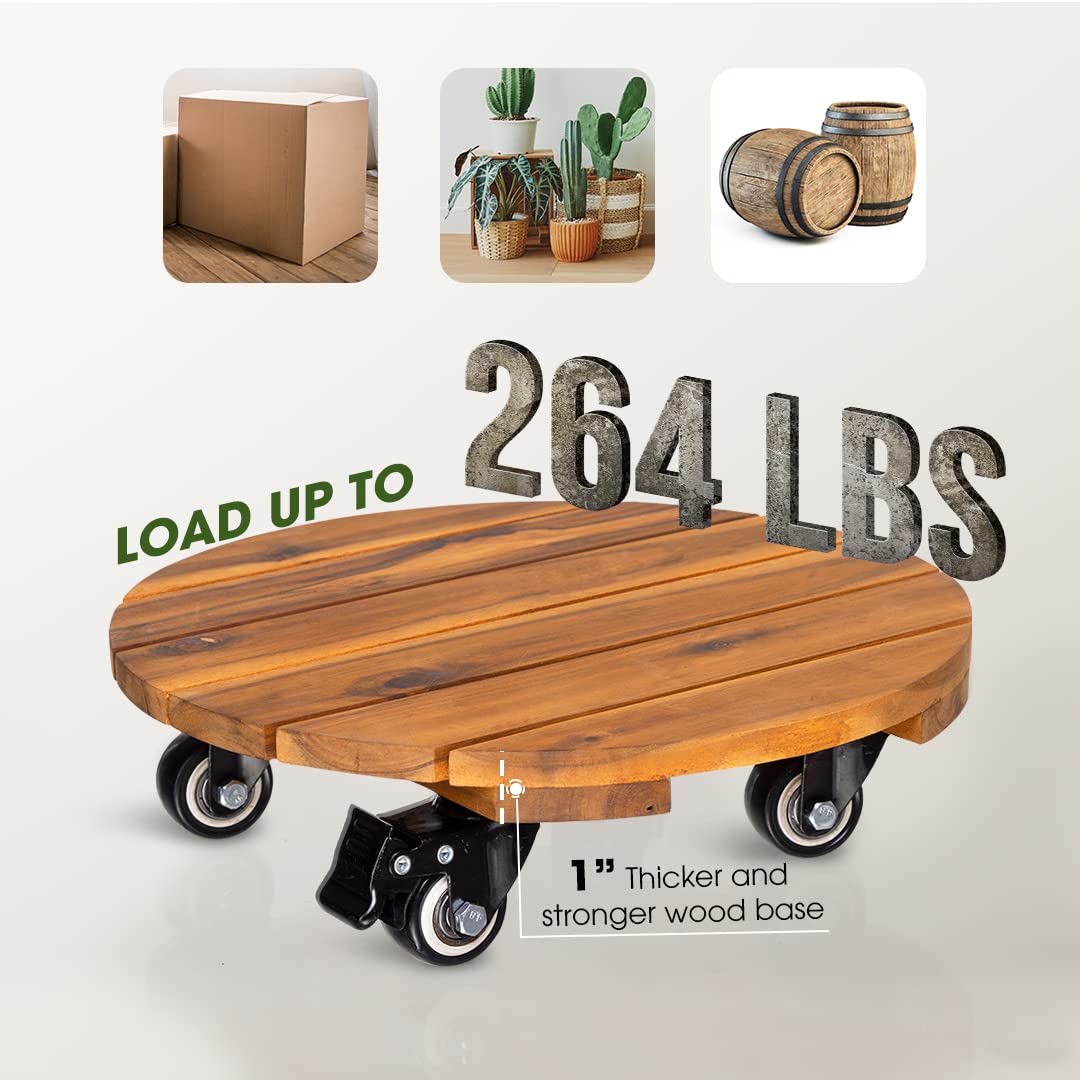 Idzo 12-inch plant caddy ready-to-use mobility for indoor setups