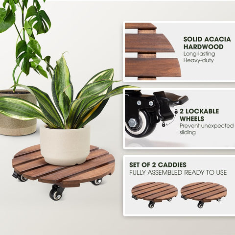 IDZO 2-Pack 12-inch acacia wood plant caddy with wheels for indoor outdoor mobility