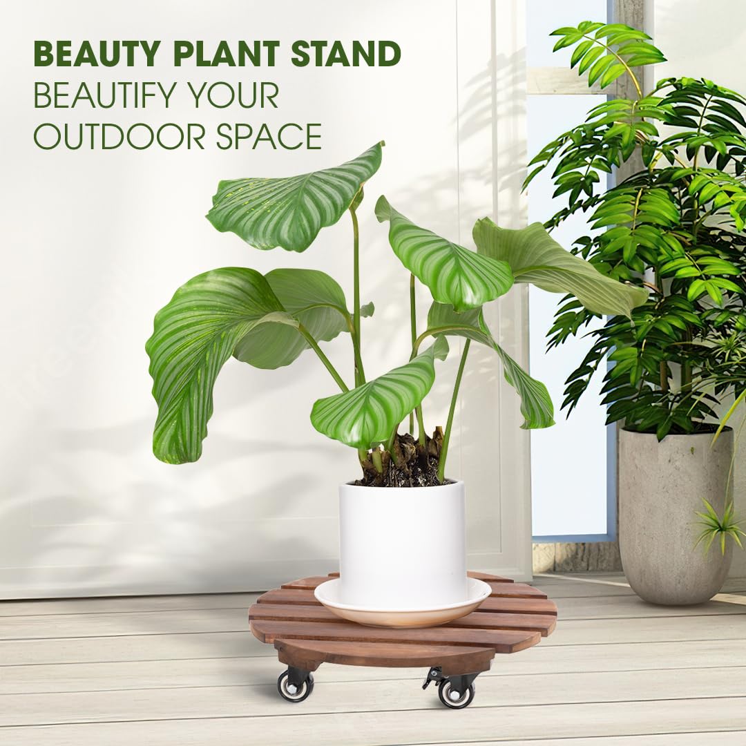 IDZO heavy-duty acacia plant caddy up to 264 lbs for large pots