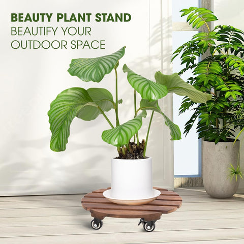 IDZO heavy-duty acacia plant caddy up to 264 lbs for large pots