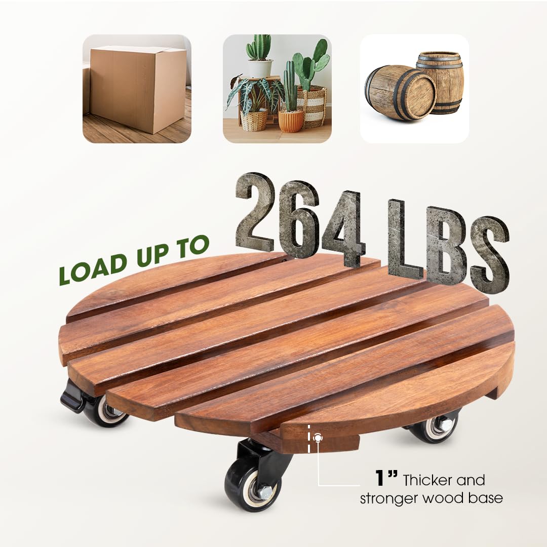 IDZO ready-to-use plant caddy for indoor and outdoor spaces