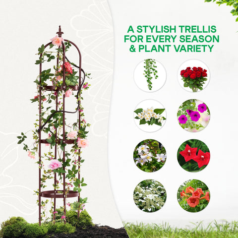 Idzo Trellis suitable for roses, vines, and vegetables with sturdy steel.
