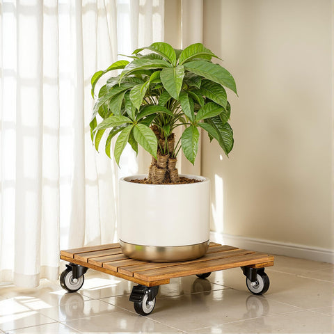 IDZO two-pack adds versatile mobility to any space.
