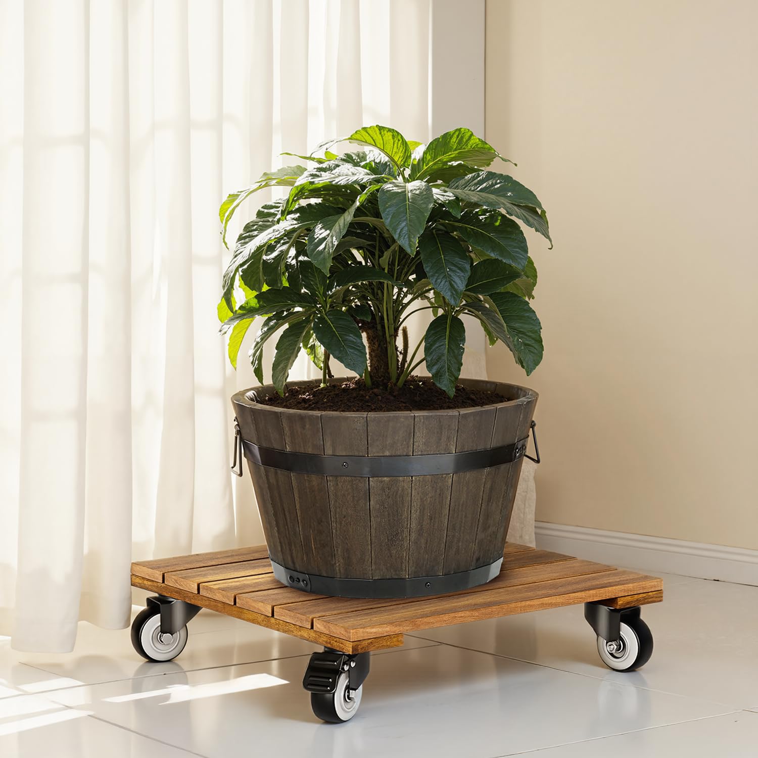 IDZO wood plant caddy with 12-inch focus for easy indoor movement.