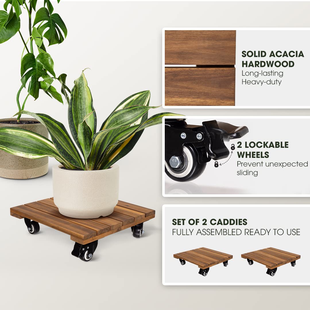 IDZO wood plant caddy with 14-inch focus supports larger planters outdoors.