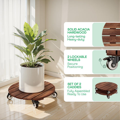 IDZO wood plant caddy featuring 360-degree wheels for versatile placement
