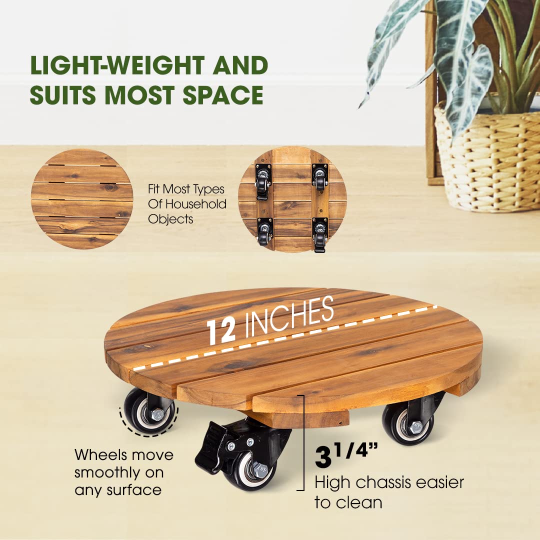 Idzo plant caddy with lockable wheels secures pots after moving.