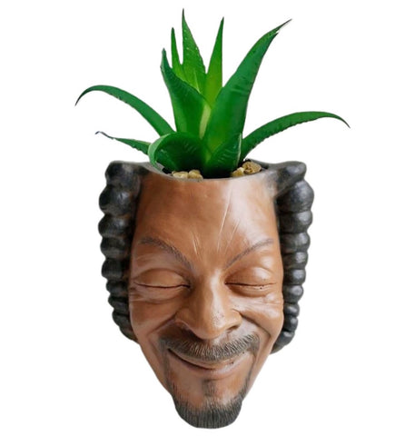 Igreli rapper man face succulent pot adds playful charm to any desk.
