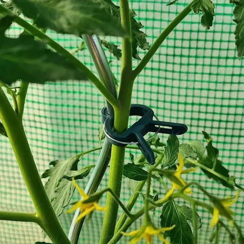 IIT stem clips attached to a cane show wind protection for blossoms.