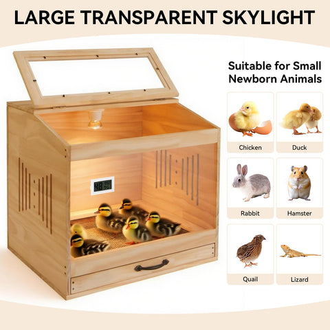 IKILEOGY brooder with acrylic panels allows quick health checks.