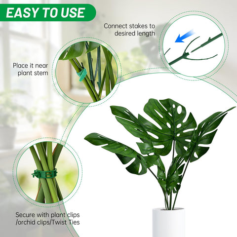 Adjustable height stake illustrating easy height customization as plant grows