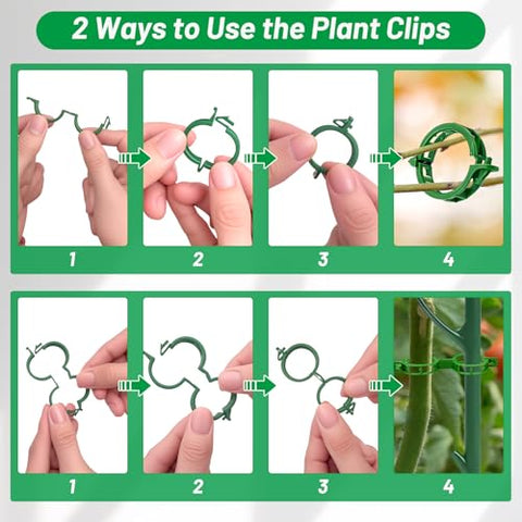 20 clips guide delicate vines along the support