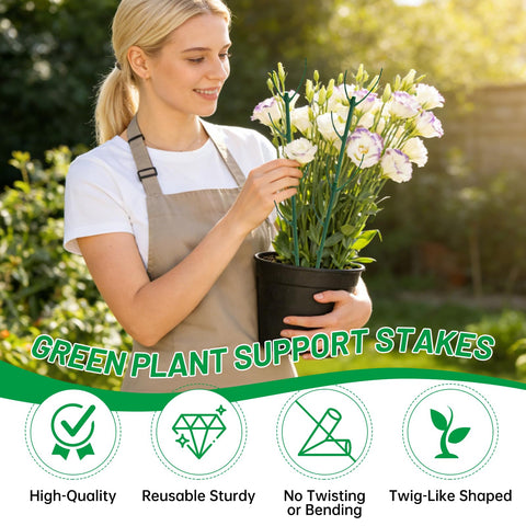 IKKAB durable indoor plant stake for long-term care