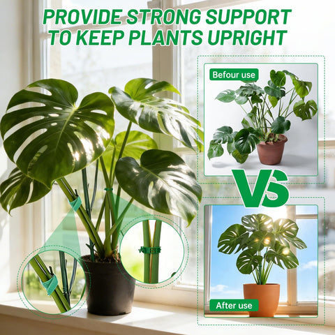 IKKAB green plant stake inserted into soil with minimal root disturbance