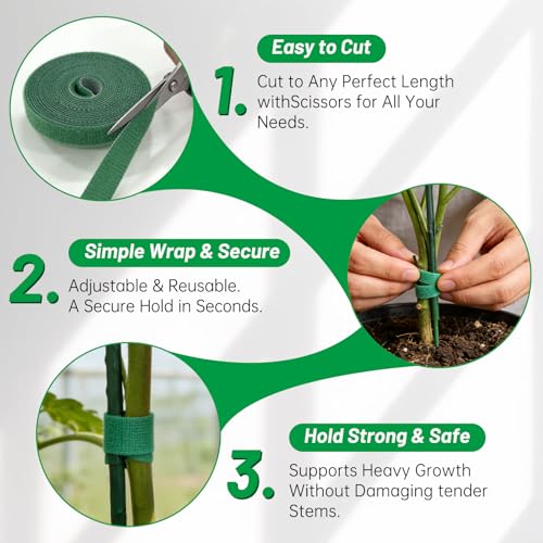 IKKAB indoor use for Monstera, Pothos, Philodendron and more