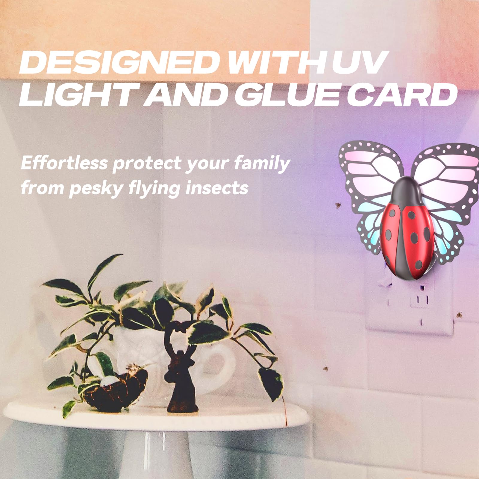 ILCPP glue card closeup shows sticky trap for efficient catching