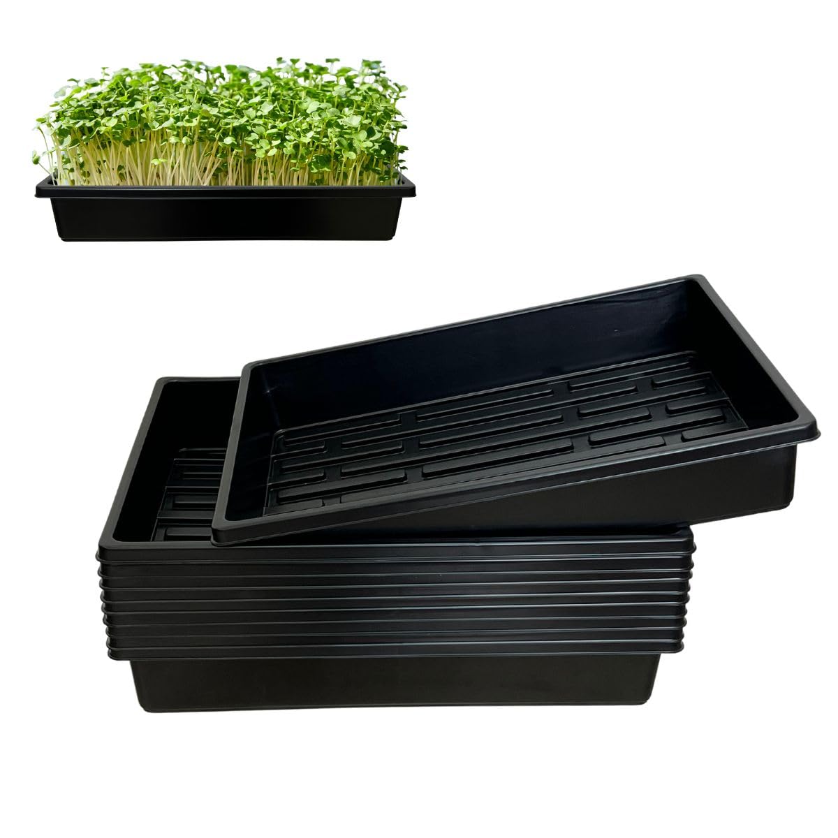 ILITING heavy-duty seed tray 10-pack overview for organized seed starting.