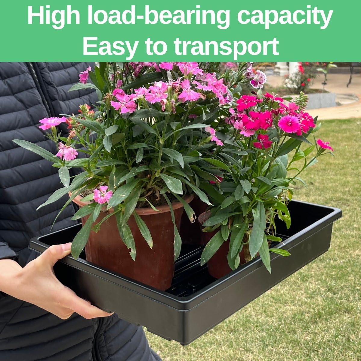 ILITING seed trays shown with heat mats and domes for efficient germination.