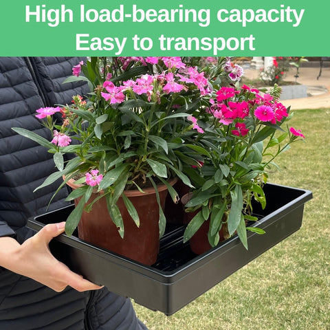 ILITING seed trays shown with heat mats and domes for efficient germination.
