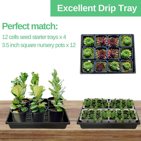 ILITING seed trays in use with bottom watering demonstrating leak-free design.
