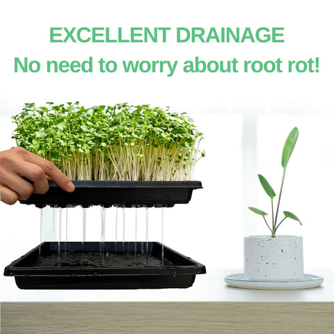 ILITING drain-hole tray helps organize seeds and pots in a greenhouse.