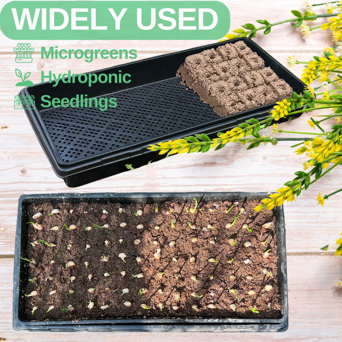 ILITING germination trays with robust airflow and durability for long-term seed-starting