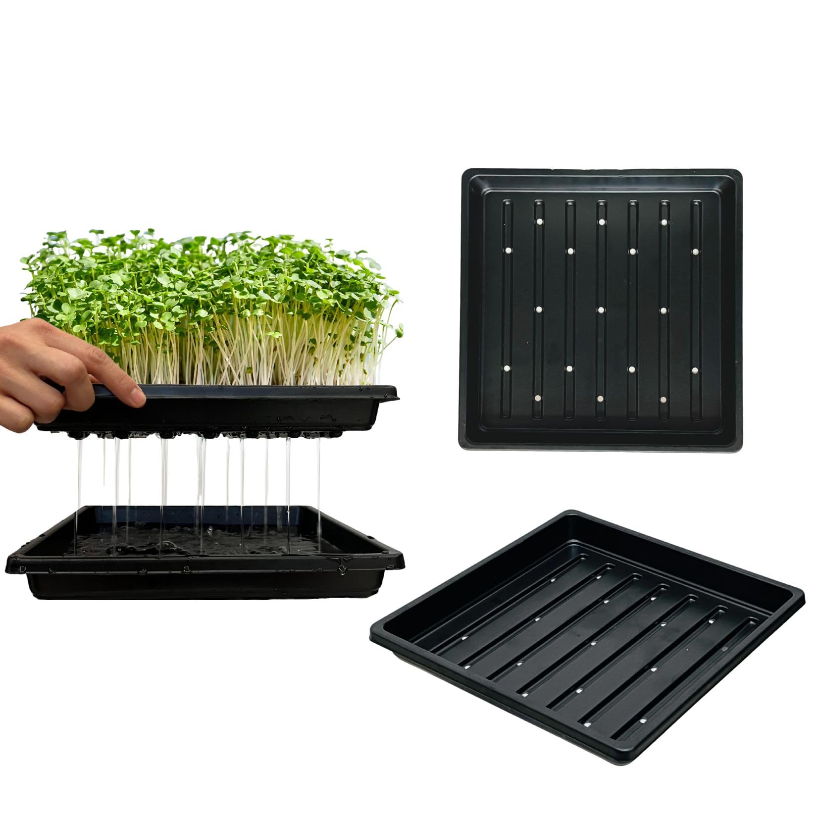 ILITING seed starting tray 1010 top view ideal for germination and seedling spacing