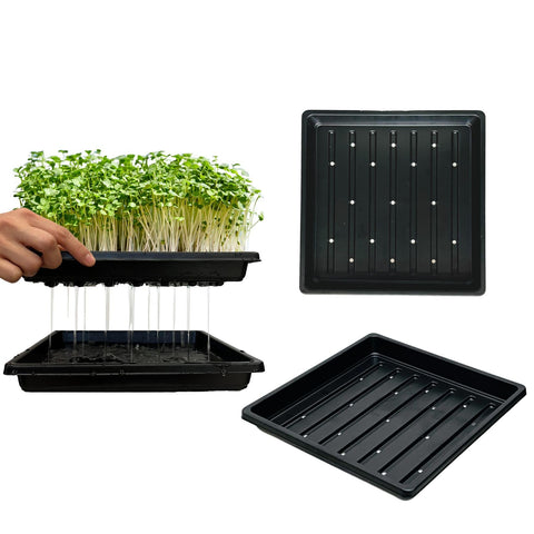 ILITING seed starting tray 1010 top view ideal for germination and seedling spacing
