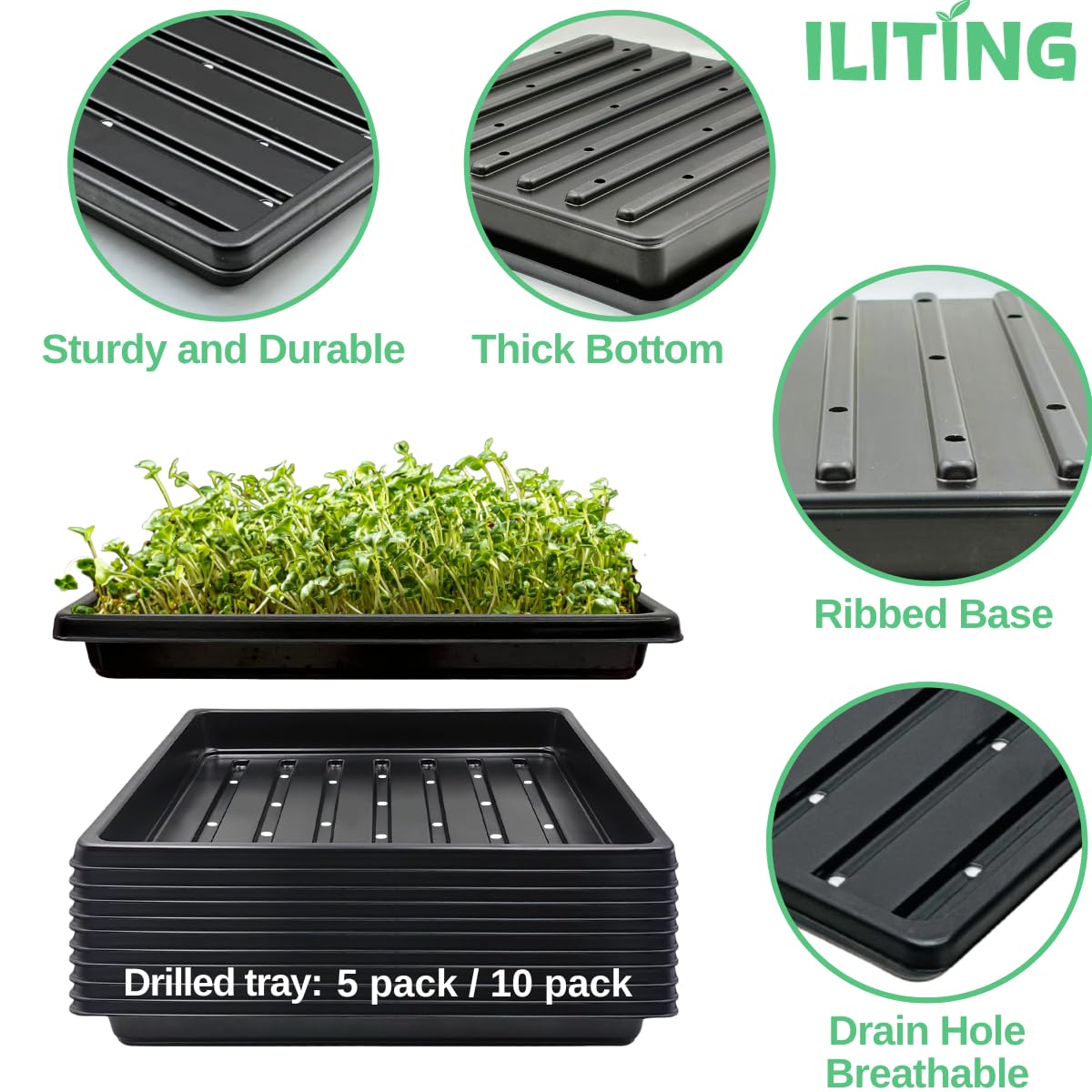 ILITING seedling tray with drain holes demonstrates effective drainage options