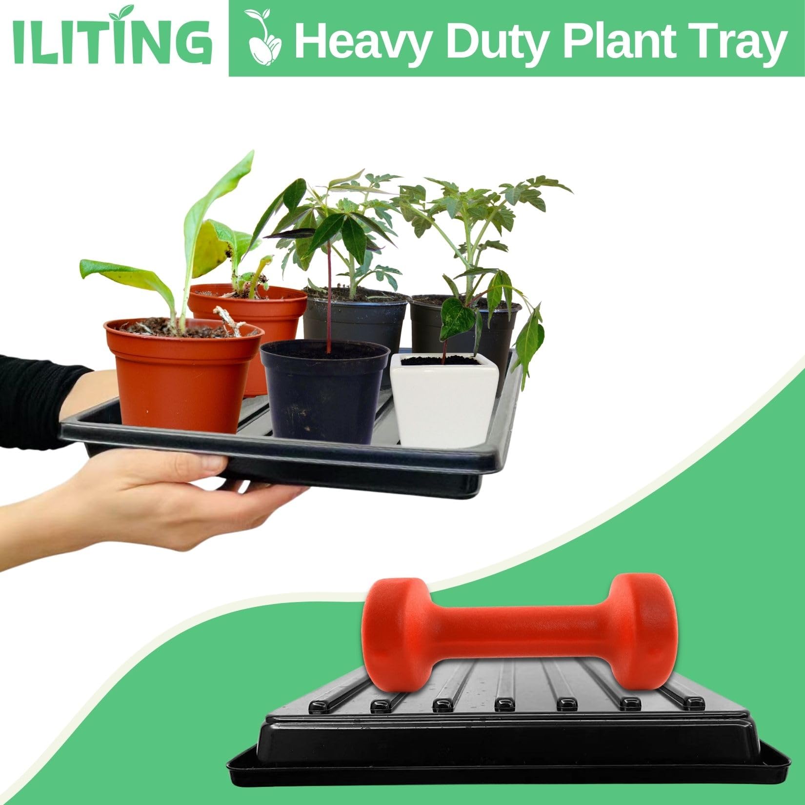 ILITING shallow-depth tray saves soil and protects roots during transplanting.